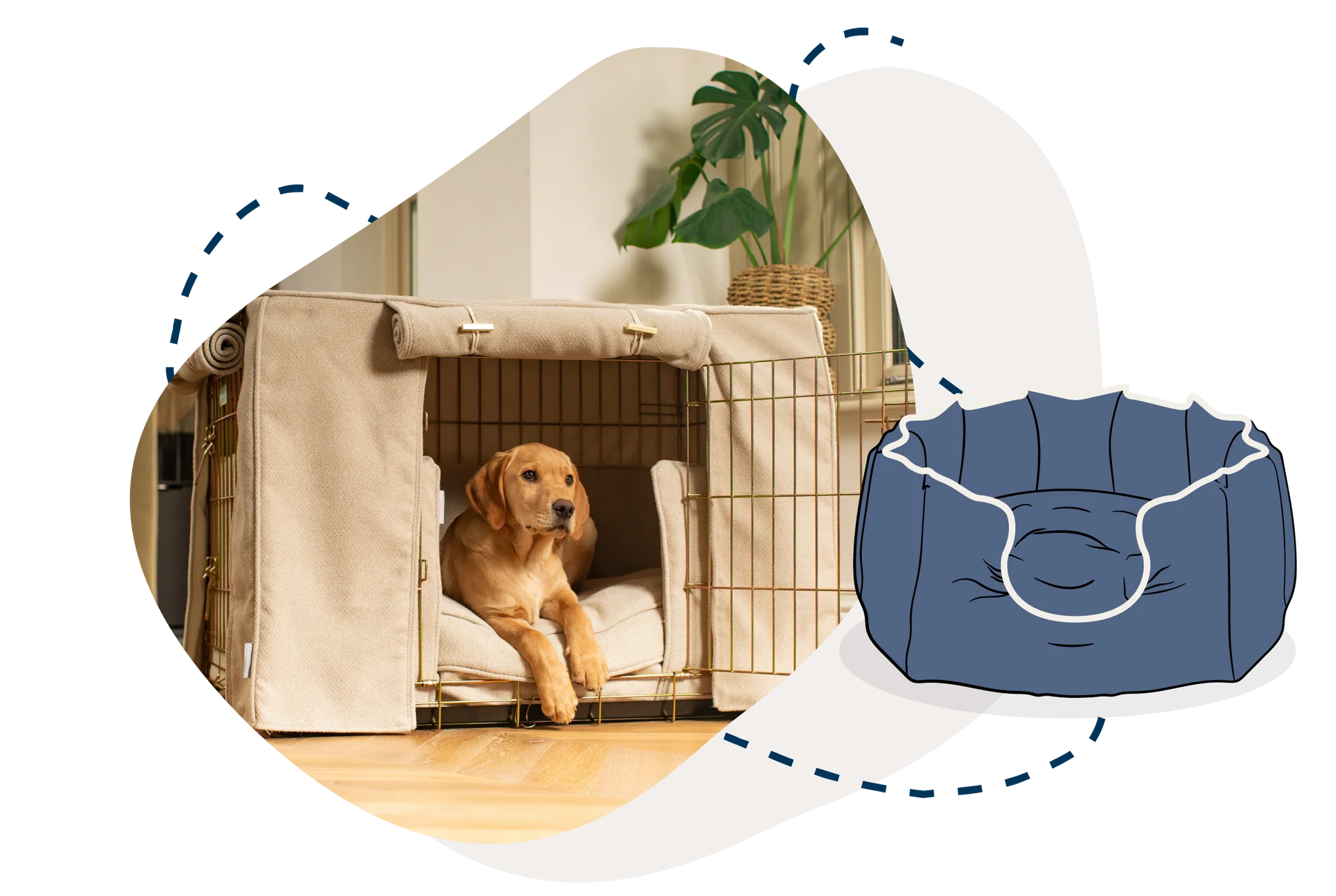 Luxury Products For Dogs & Cats