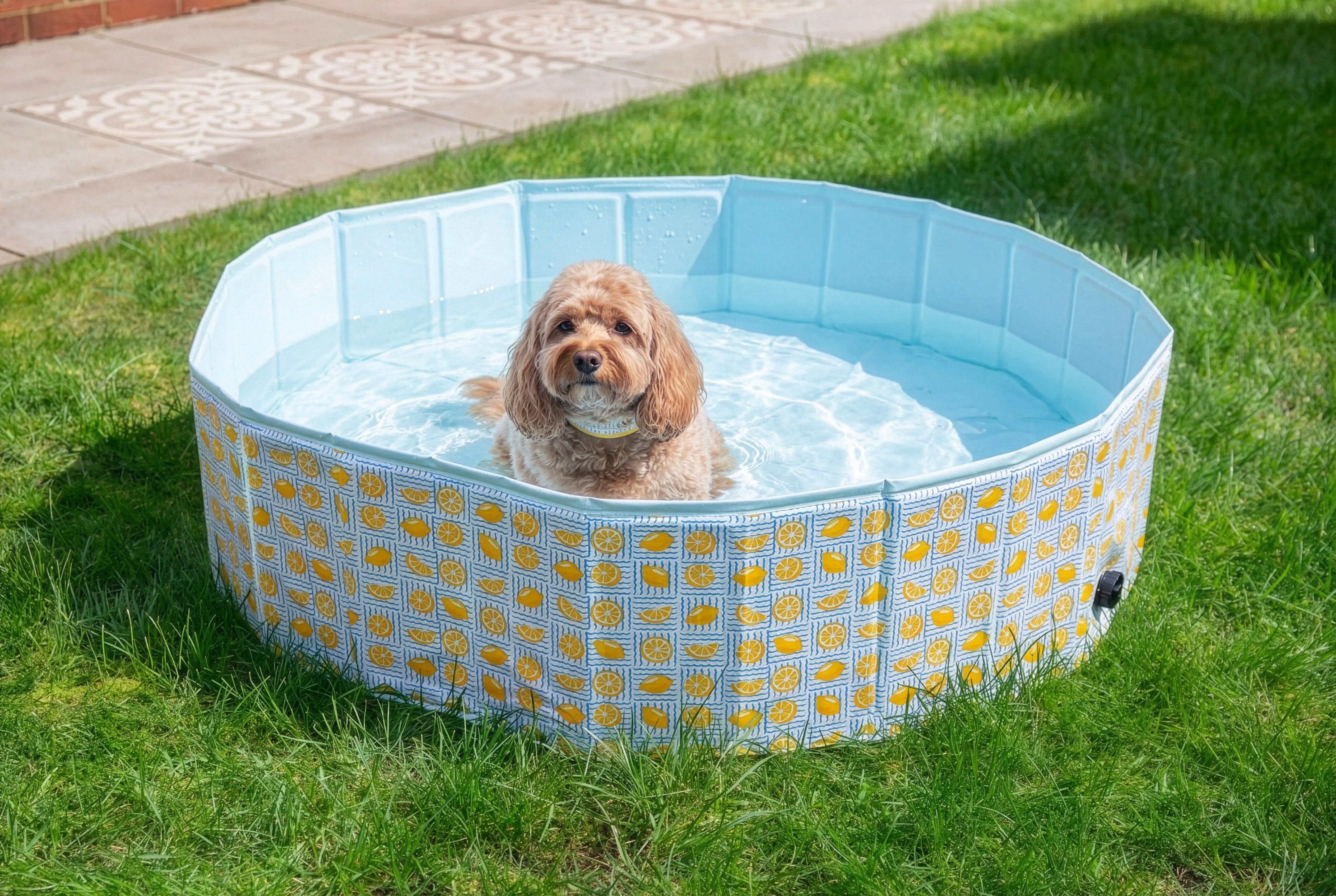 Lemons Paddling Pool for Dogs Rosewood