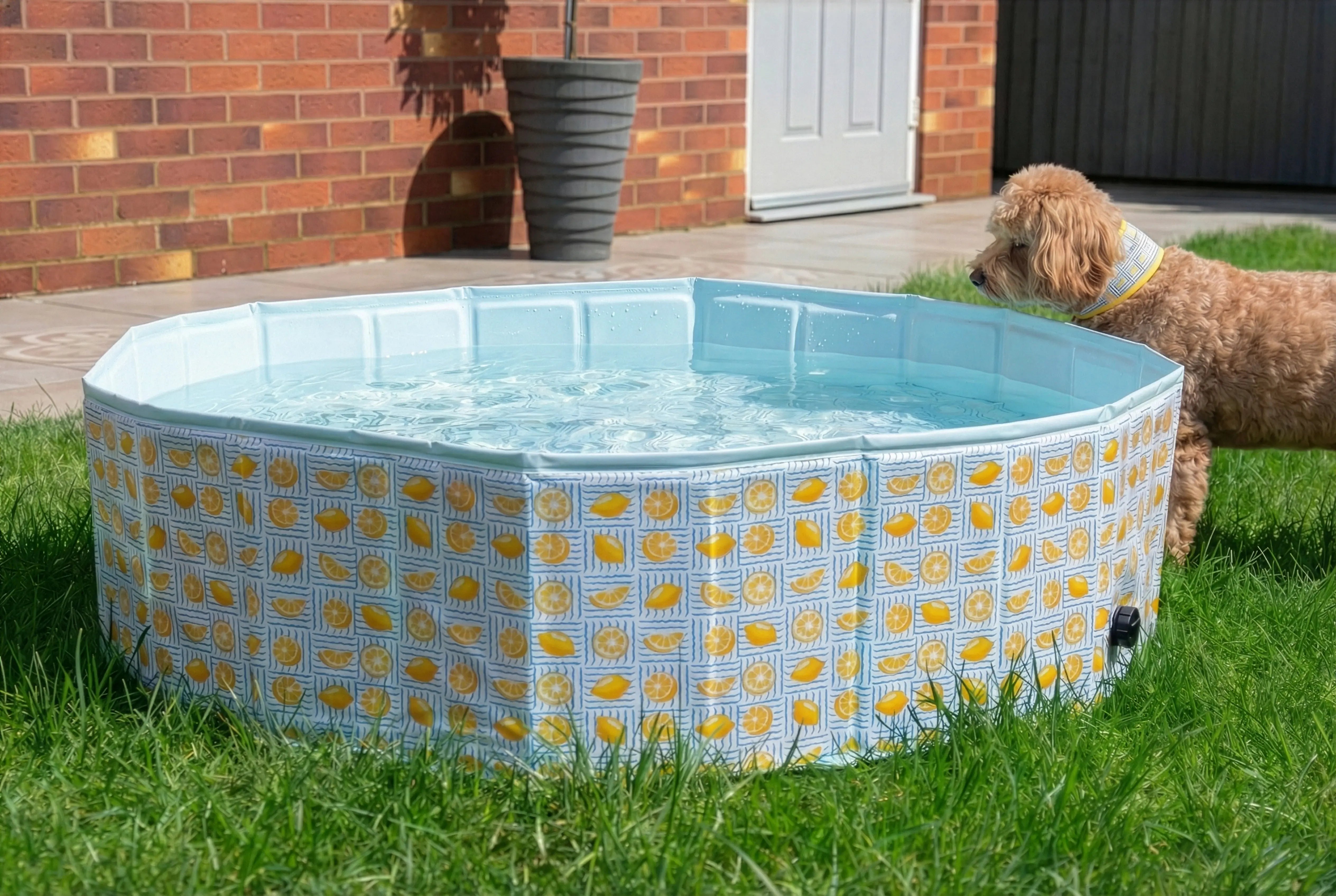 Lemons Paddling Pool for Dogs Rosewood