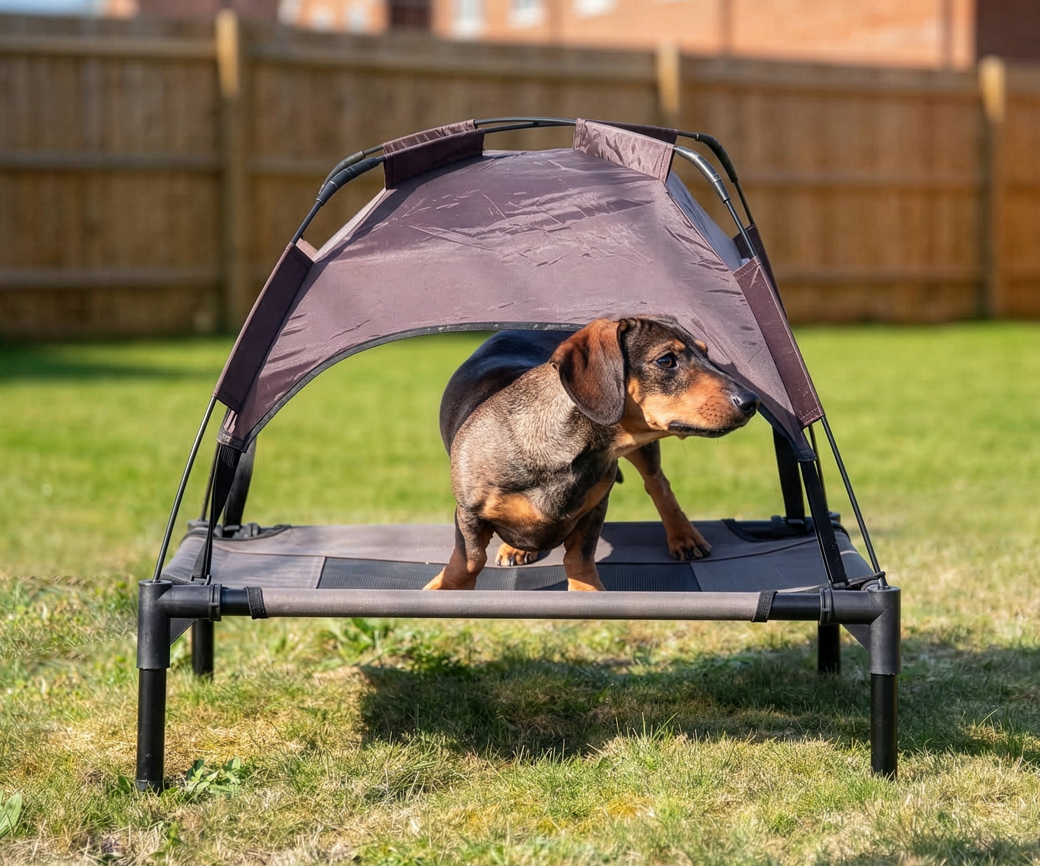 Sheltered Dog Bed Rosewood