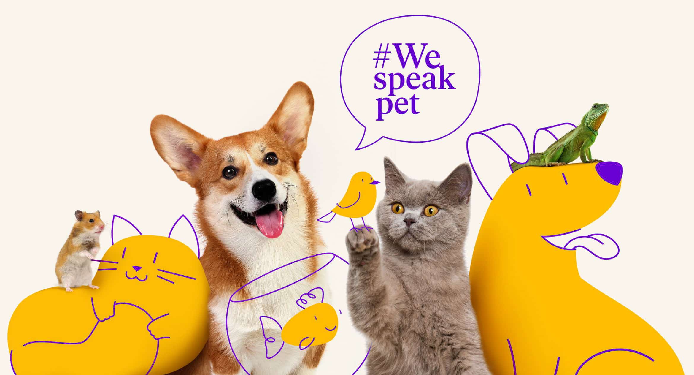 Thoughtfully crafted crate bedding designed to make every corner feel like home.